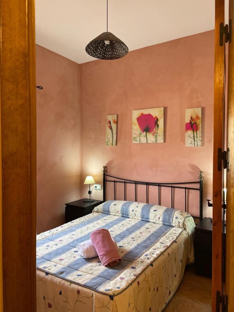 Casa Rural Puente Del Segura Elche de la Sierra Extérieur photo