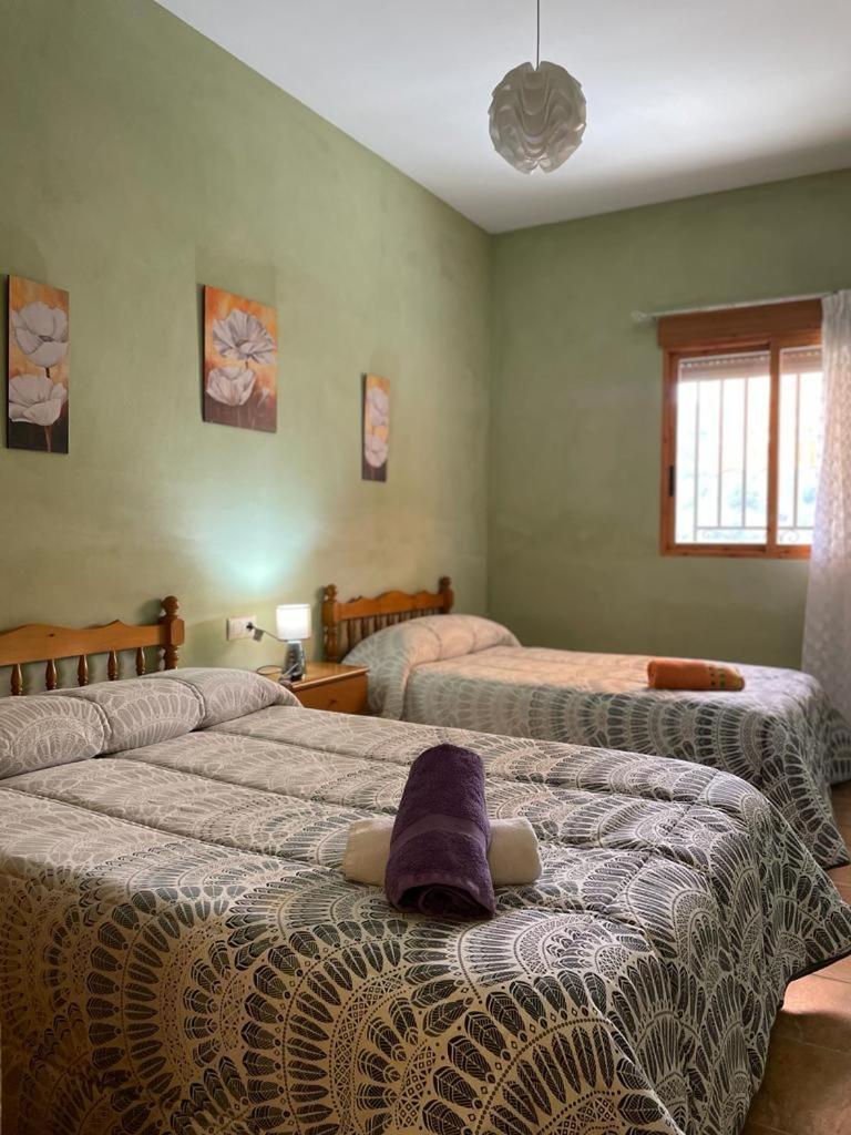 Casa Rural Puente Del Segura Elche de la Sierra Extérieur photo