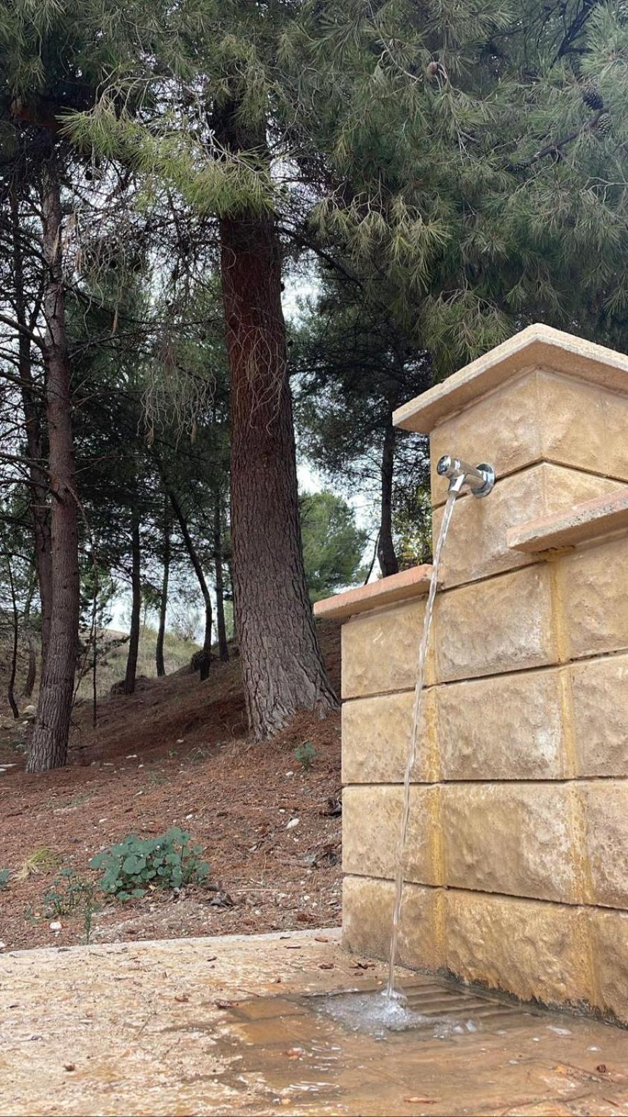 Casa Rural Puente Del Segura Elche de la Sierra Extérieur photo