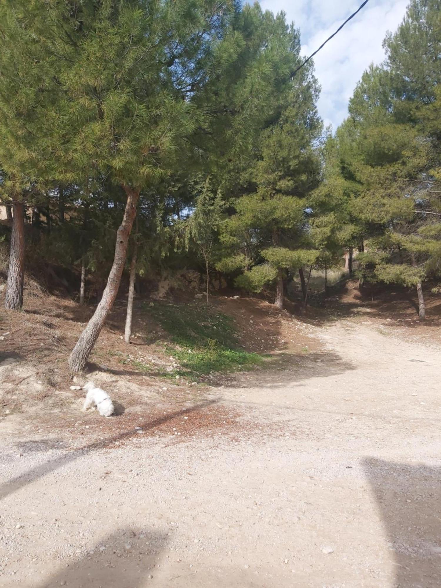 Casa Rural Puente Del Segura Elche de la Sierra Extérieur photo